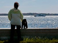 1008280152 ma nb NantucketFerry  A woman and her dog look on as the Seastreak Whaling City Express ferry service from New Bedford to Nantucket sails past on its first voyage from New Bedford to Nantucket.   PETER PEREIRA/THE STANDARD-TIMES/SCMG : ferry, waterfront, voyage, trip, harbor